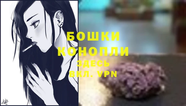 шишки Магадан