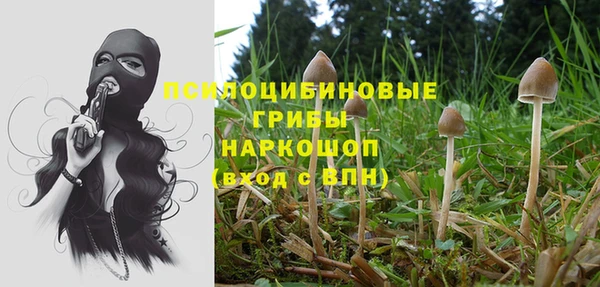 метадон Липки