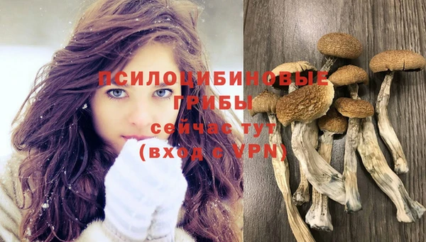 дурь Магас