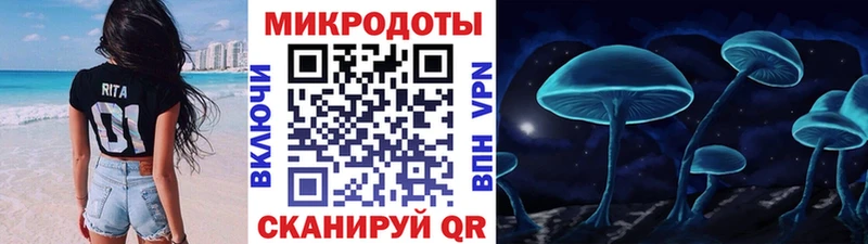 магазин продажи   Чёрмоз  omg как зайти  Псилоцибиновые грибы мицелий 